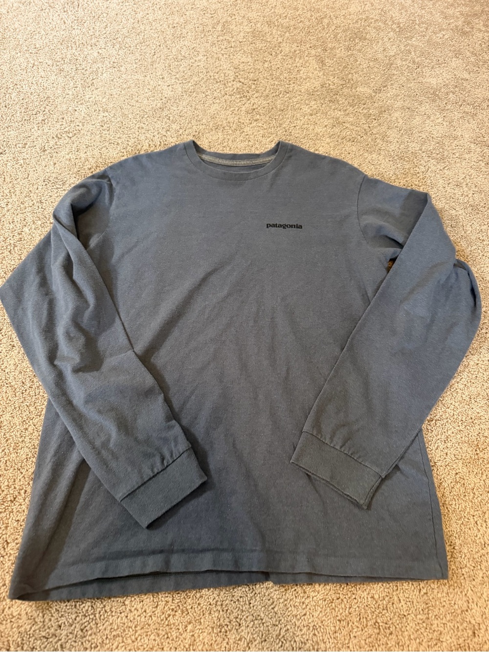 Patagonia Men's Long-Sleeve Tee Slate Blue